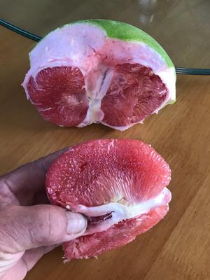 泰国红宝石柚